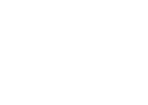 Spine & Rehab Specialists - logo copy